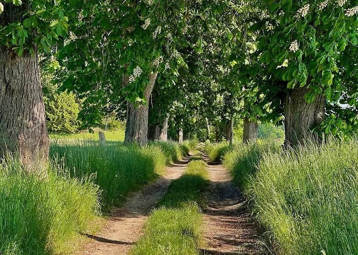 Am Flachsee Ferienhaus *